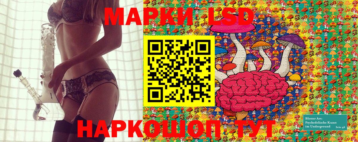 Наркотические марки 1,5мг  Вход с VPN  Лесной 
