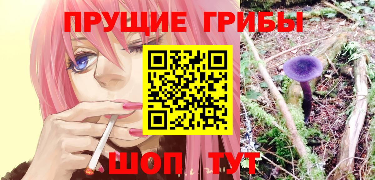 Псилоцибиновые грибы прущие грибы  где купить наркоту  Лесной  Вход с VPN 