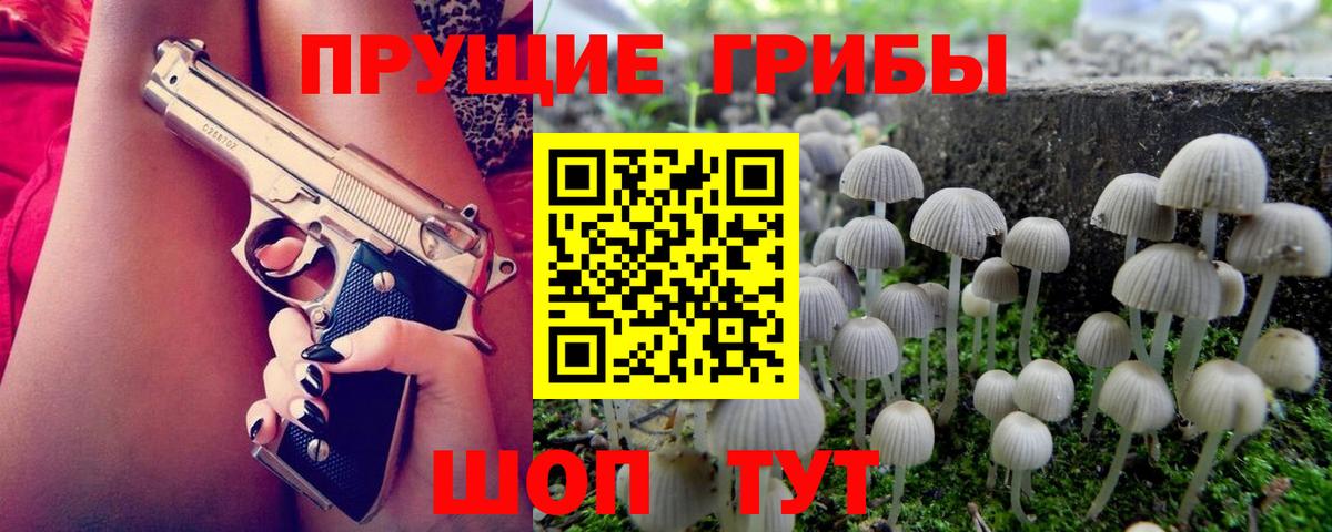 Галлюциногенные грибы Psilocybe Лесной