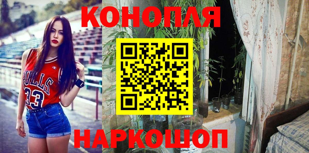 Бошки Шишки индика  Бошки марихуана MAZAR  Конопля Ganja  Лесной  Вход с VPN  Шишки марихуана ГИДРОПОН 